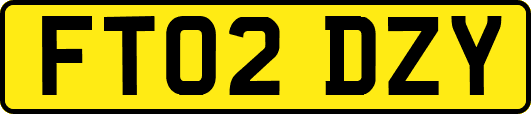 FT02DZY