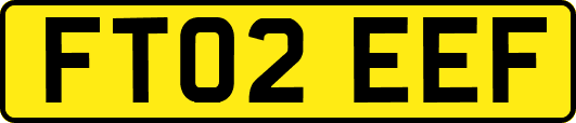 FT02EEF