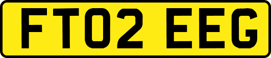 FT02EEG