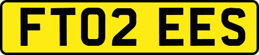 FT02EES