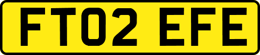 FT02EFE