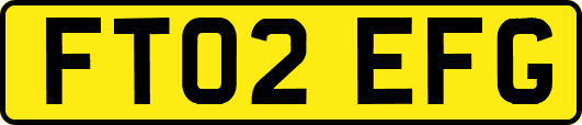 FT02EFG