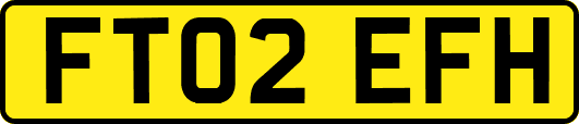 FT02EFH