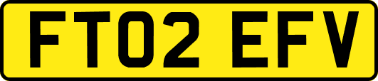 FT02EFV