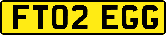 FT02EGG