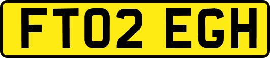 FT02EGH