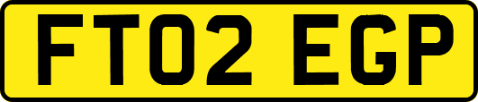 FT02EGP