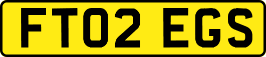FT02EGS
