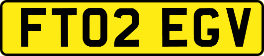 FT02EGV