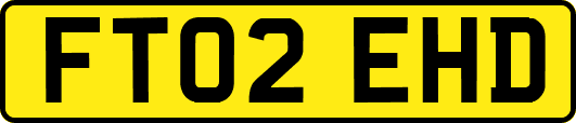 FT02EHD