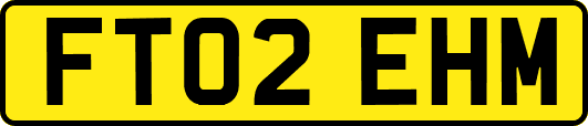 FT02EHM