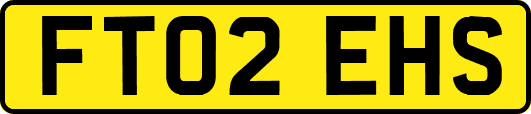 FT02EHS