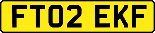 FT02EKF