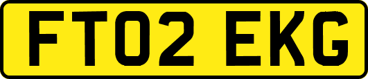 FT02EKG
