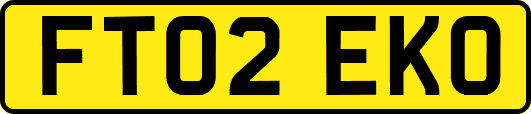 FT02EKO