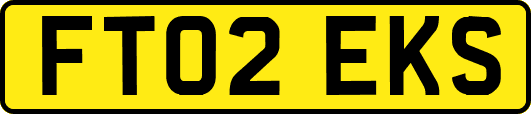 FT02EKS
