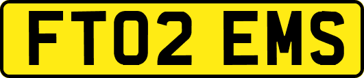 FT02EMS