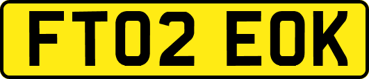 FT02EOK