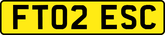 FT02ESC