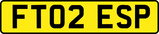 FT02ESP