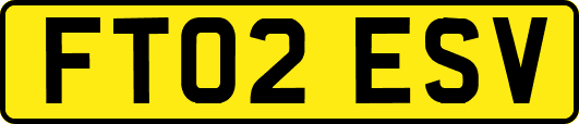 FT02ESV