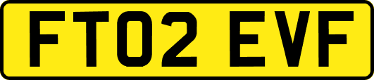 FT02EVF