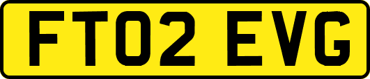 FT02EVG