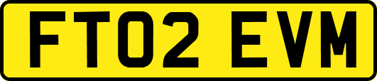 FT02EVM
