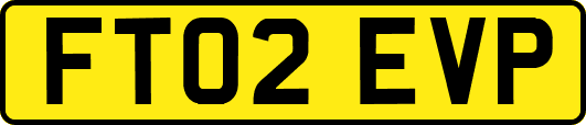 FT02EVP