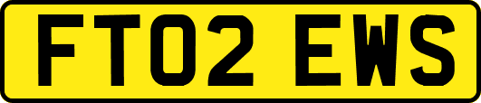FT02EWS