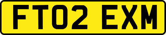 FT02EXM