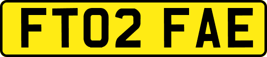 FT02FAE