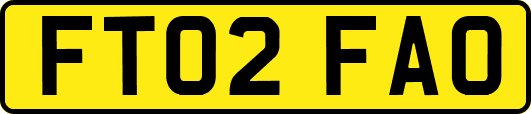 FT02FAO