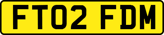 FT02FDM