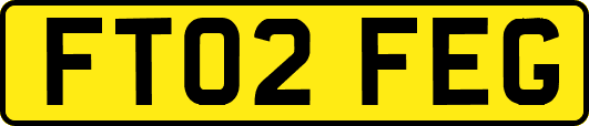 FT02FEG
