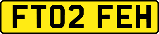 FT02FEH