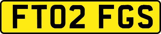 FT02FGS
