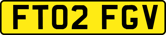 FT02FGV