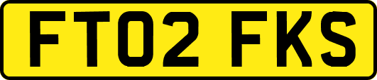 FT02FKS