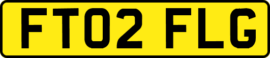FT02FLG