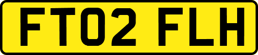 FT02FLH