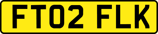 FT02FLK