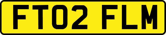 FT02FLM