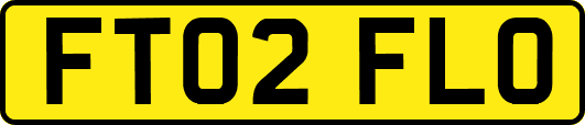 FT02FLO
