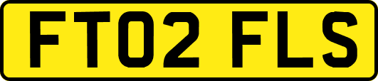FT02FLS