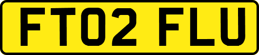 FT02FLU