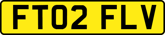 FT02FLV