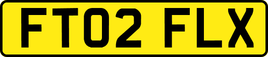 FT02FLX