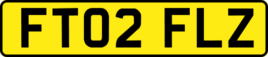 FT02FLZ