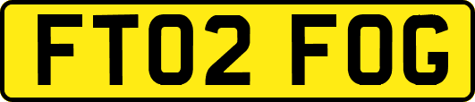 FT02FOG
